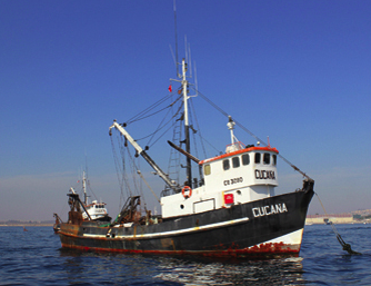 Flota Pesquera Quintero